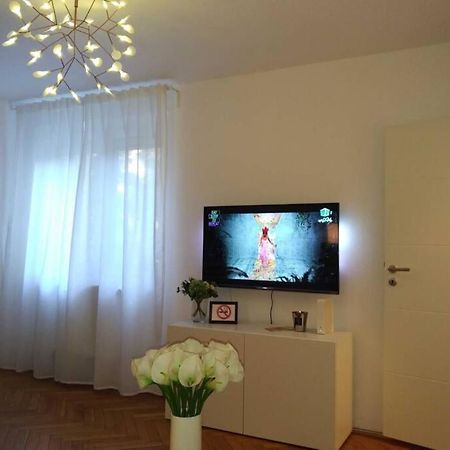 Art & Design Apt - City Center Τιμισοάρα Εξωτερικό φωτογραφία