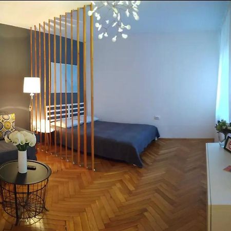 Art & Design Apt - City Center Τιμισοάρα Εξωτερικό φωτογραφία